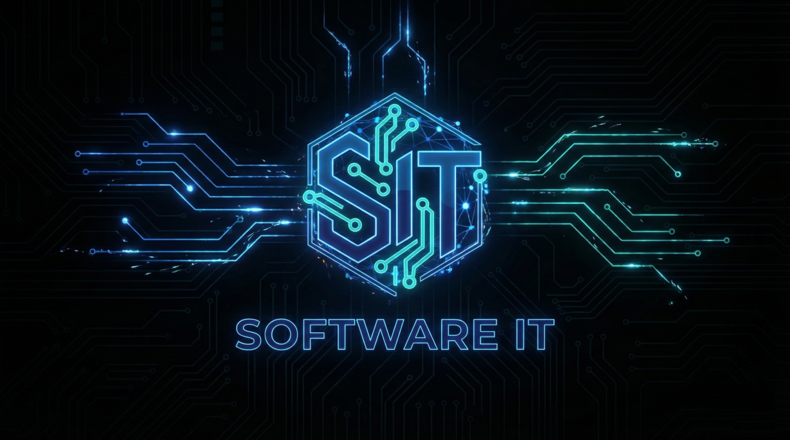 Software IT